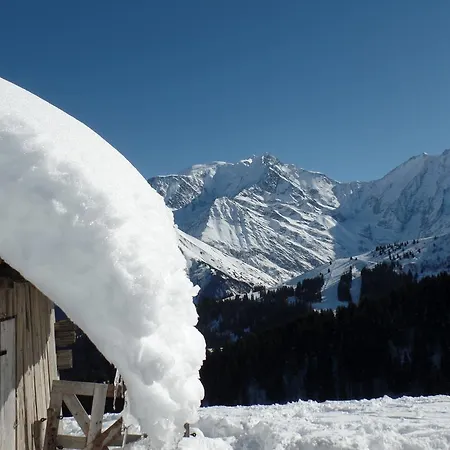 Le Paddock Chalet