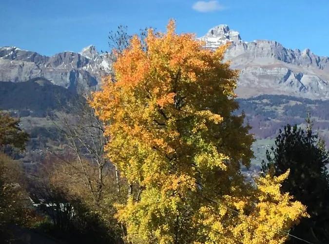 Alpstuga Le Grand Paddock