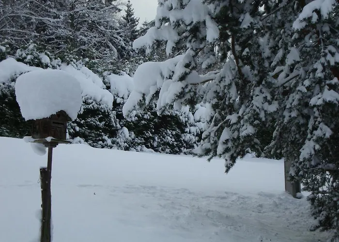 Le Grand Paddock * Saint-Gervais-les-Bains