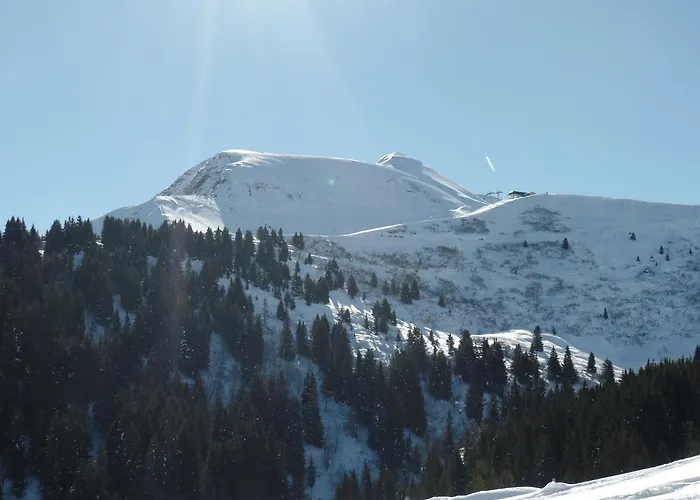 Alpstuga Le Grand Paddock